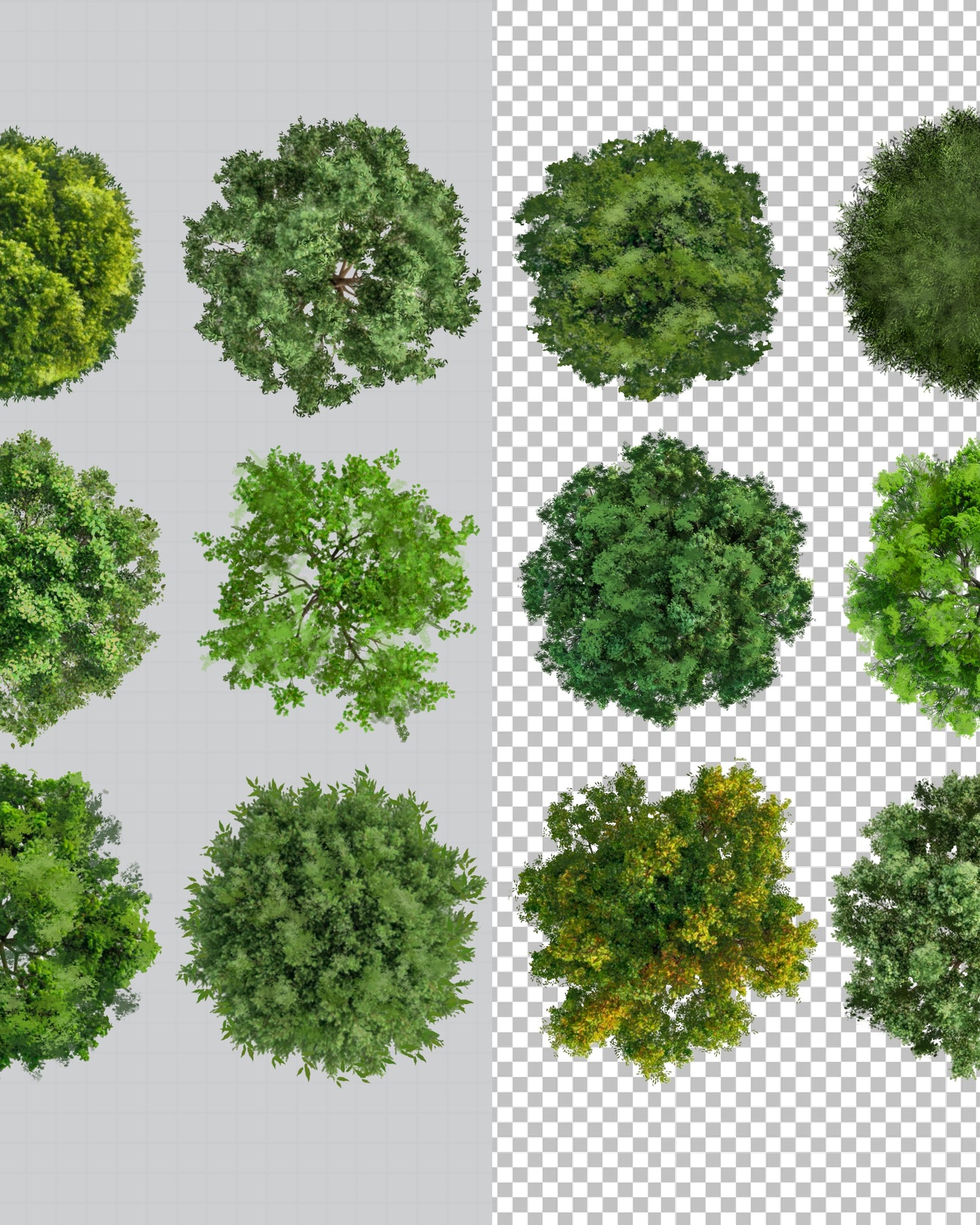 Trees Nº1