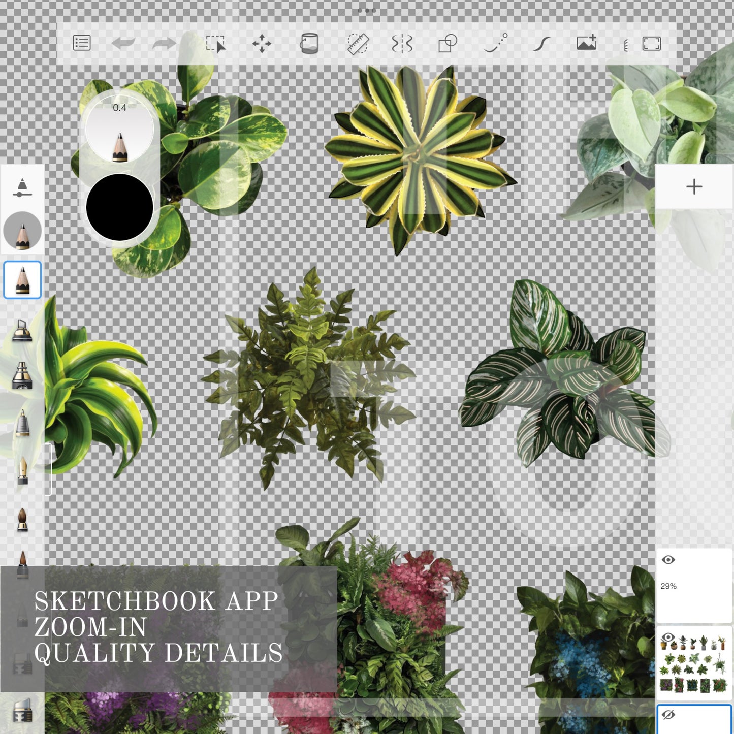 Plants set