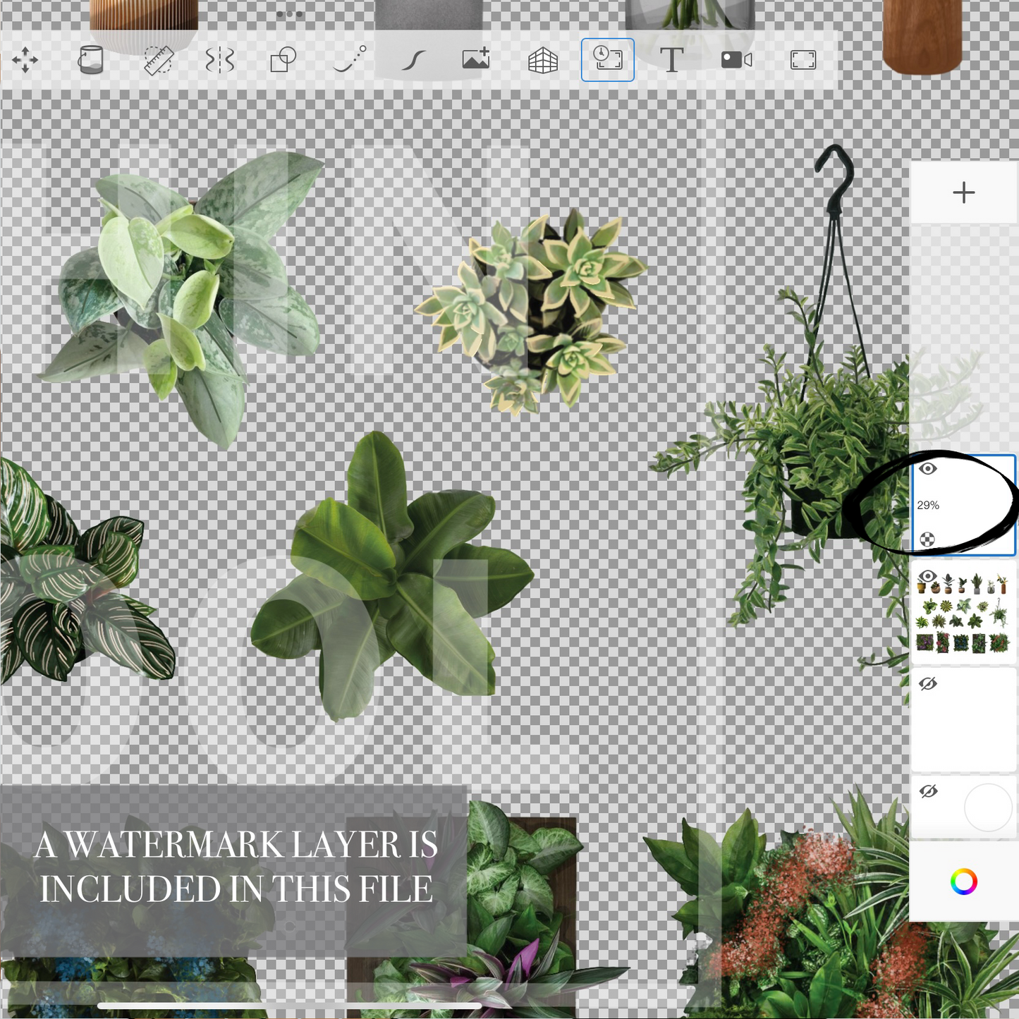 Plants set