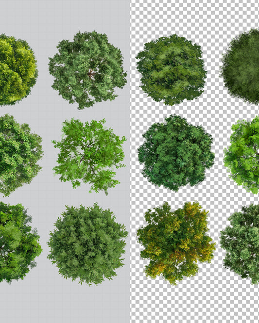 Trees Nº1