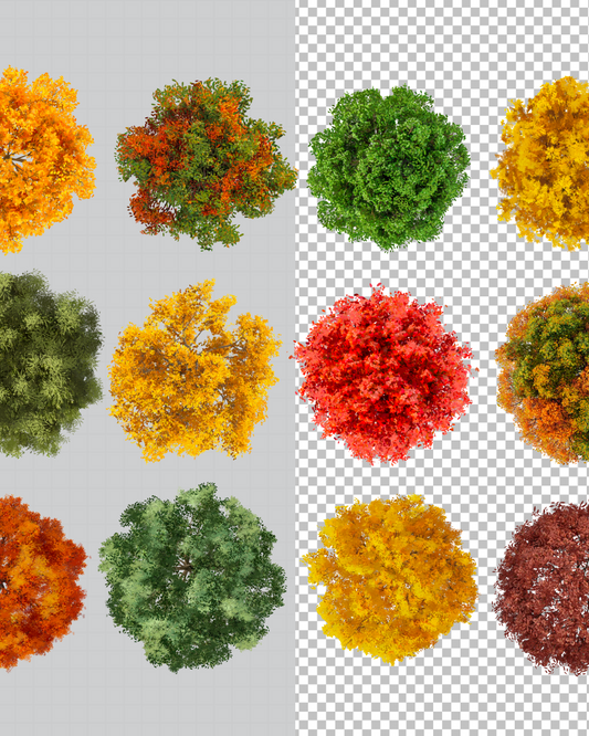 Trees Nº2
