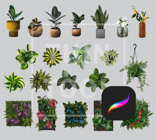 Plants set
