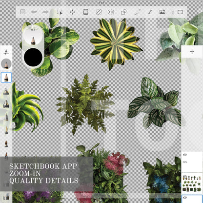 Plants set