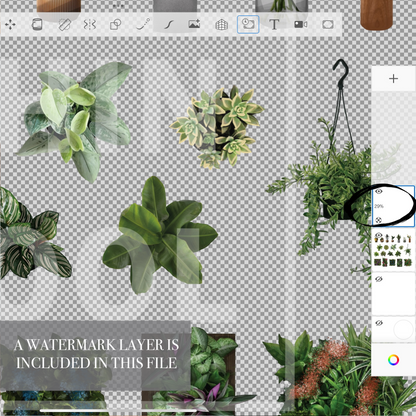 Plants set