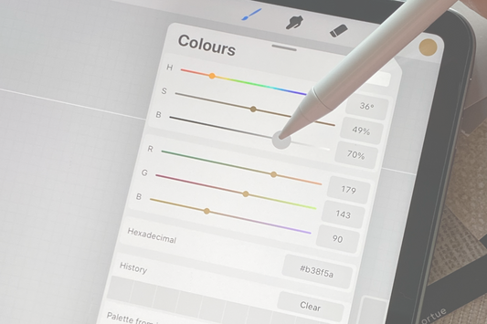 Procreate iPad Course